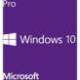 Microsoft WINDOWS 10 PRO GGK WIN32 ESPAÑOL 1PK DSP ORT OEI DVD