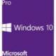 Microsoft WINDOWS 10 PRO GGK 64BIT ESPAÑOL 1PK DSP ORT OEI DVD