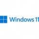 Microsoft WINDOWS 11 HOME 64BIT INGLES INTL DVD