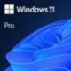 Microsoft WINDOWS 11 PRO 64-BIT TODOS LOS IDIOMAS LICENCIA DESCARGA